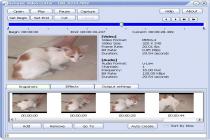Captura Naturpic Video Cutter