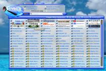 Captura Torrent Finder Widget