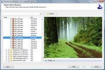 Captura NTFS Recovery Wizard