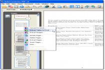 Captura Solid Converter PDF to Word