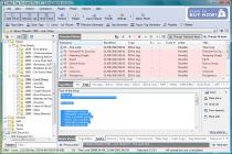 Captura Mp3 Tag Assistant Professional