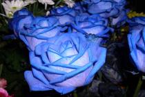 Captura Free Roses Screensaver