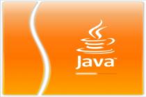 Captura Java SE Runtime Environment