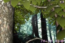 Captura Forest Life 3D