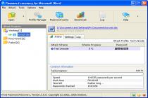 Captura Word Password Recovery
