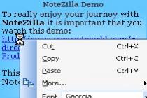 Captura NoteZilla