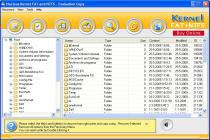 Captura Nucleus Kernel FAT and NTFS