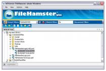 Captura File Hamster