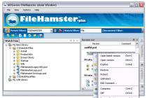 Captura File Hamster