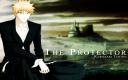 Bleach El Protector