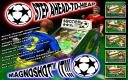 WS Pinball Soccer Stars