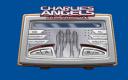 Captura Charlie's Angels: Full Throttle Skin