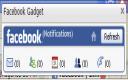 Facebook Gadget
