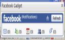 Captura Facebook Gadget