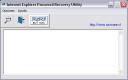 Internet Explorer Password Recovery Utility