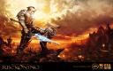 Kingdoms of Amalur: Reckoning - Hero