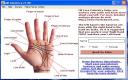 MB Free Palmistry