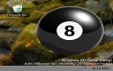 Magic 8 Ball