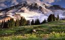 Captura Blooming and Mount Rainier