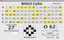 Bingo Caller