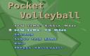 Pocket Volleyball