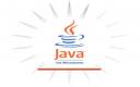 Captura Máquina Virtual Java