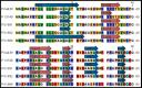 CLC Protein Workbench