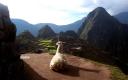 Captura Machu Pichu