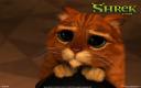 Captura Shrek 2: Gato con botas