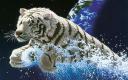 Tigre escapando de la Tierra